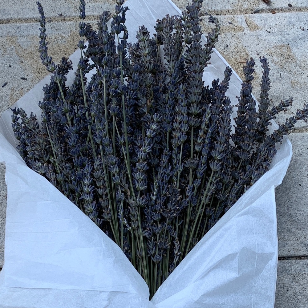 Lavender bunches BUNDLE QTY